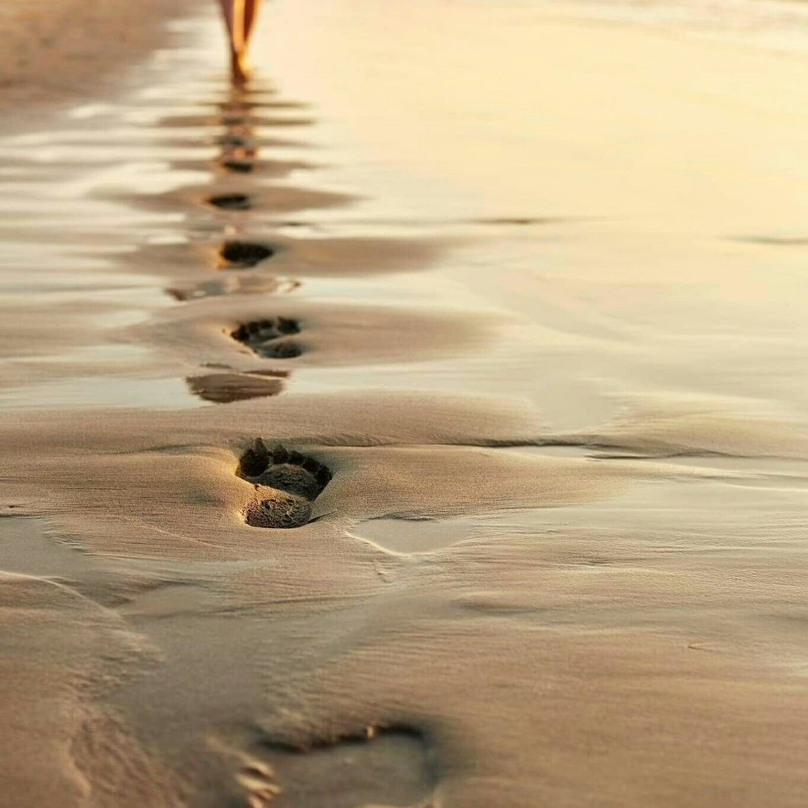 Huellas de pisadas en la arena de la playa al atardecer
